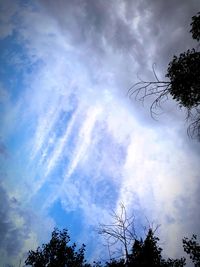 Low angle view of silhouette trees against sky