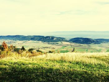Scenic view of grassy field against sky