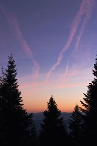 Low angle view of silhouette trees against sky during sunset