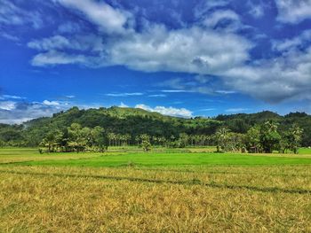 Scenic view of agricultural field against sky