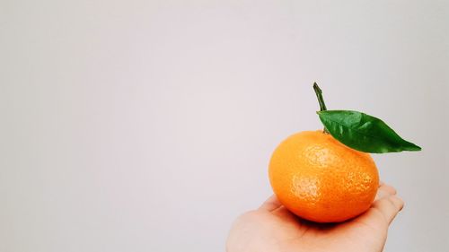 Close-up of hand holding orange