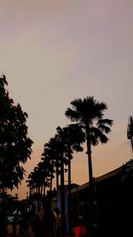 Low angle view of silhouette palm trees against sky at sunset