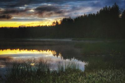 Reflection of trees in lake