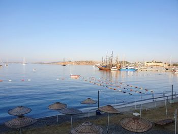 Sailboats in marina