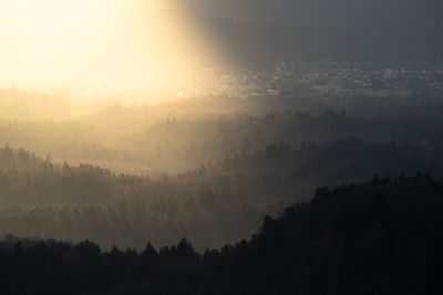 A wonderful mix of light and shade in bad rotenfels in the murgtal valley in the  black forest