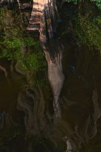 High angle view of lake