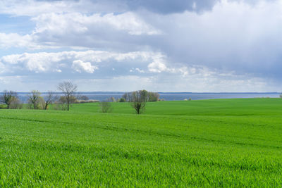 Scenic view of farm against sky