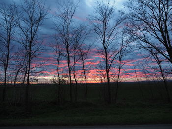 Bare trees on landscape at sunset