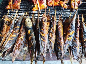 Close-up of fish for sale