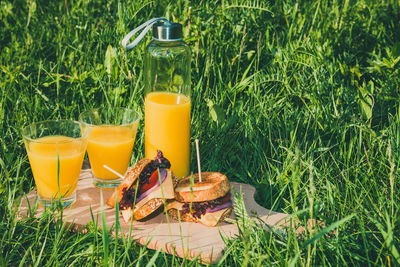 Close-up of beer with drink