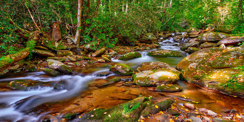 River flowing through rocks in forest