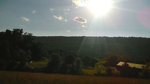 Sun shining through trees on field