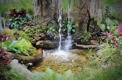 Close-up of waterfall against trees