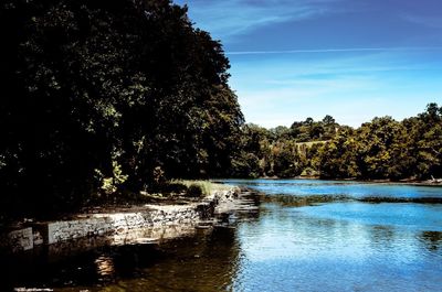 Scenic view of lake in forest against sky