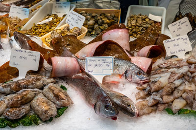 Fresh fish, clams and seafood for sale at a market in barcelona, spain