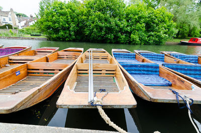 Boats moored by trees against sky