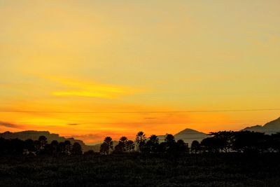 Silhouette trees on field against orange sky