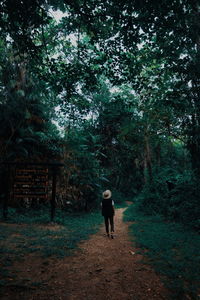 Rear view of man walking in forest