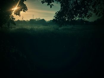 Scenic view of field against sky at night