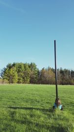 Trees on grassy field