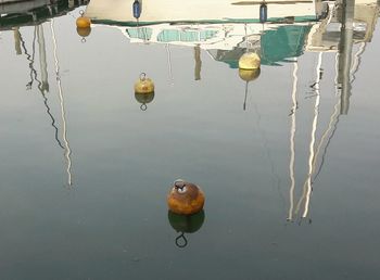 Reflection of floating on water in lake