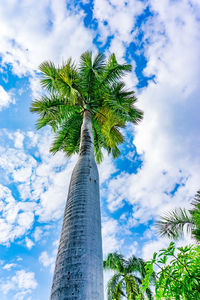 Low angle view of palm tree against cloudy sky