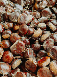 Full frame shot of firewood