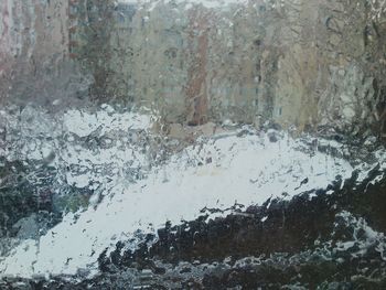 Reflection of trees in water