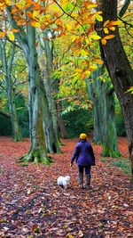 Rear view of woman walking with dog in forest during autumn