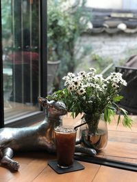 Potted plant on table by window