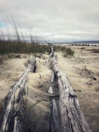 Driftwood on field against sky