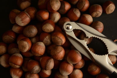 Hazelnuts with nutcracker