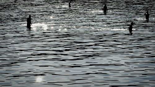 Reflection of trees in water