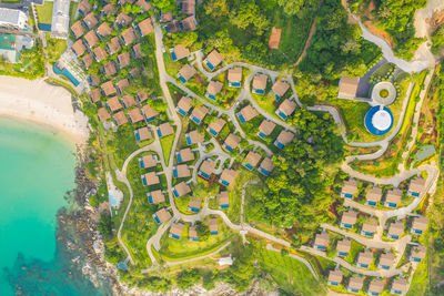 High angle view of tree by building in city