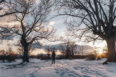 Bare trees on snow covered landscape against sky