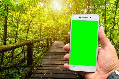 Cropped hand holding phone on boardwalk in forest