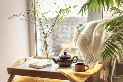 Close-up of potted plant on table at  concept of a feeling of coziness at home.