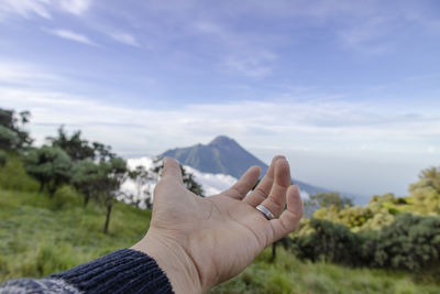 Cropped hand of person against landscape