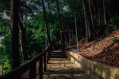 Traditional park in singkawang city