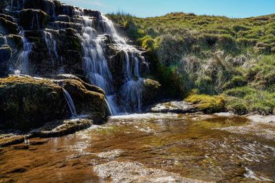 Scenic view of waterfall in forest