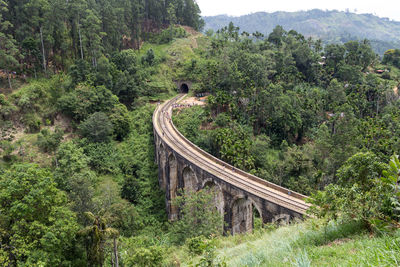 Scenic view of forest