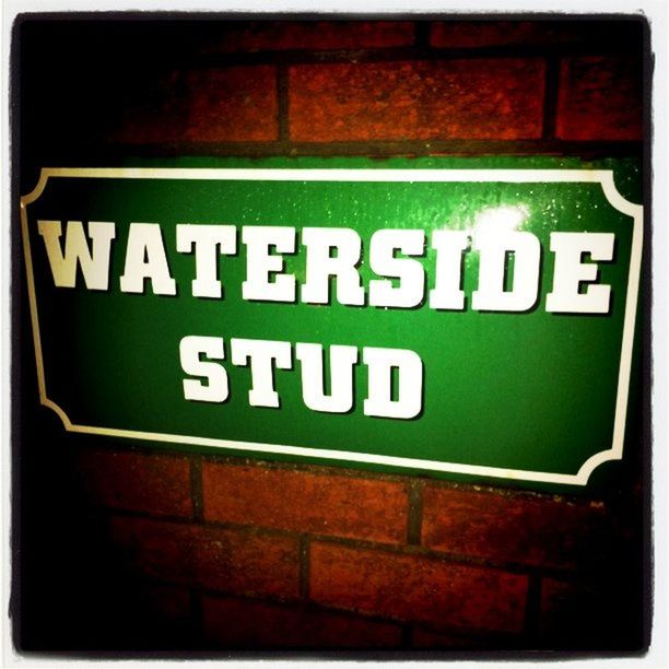 Waterside Stud