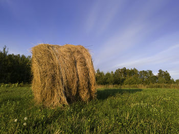 Hay bales on field against sky