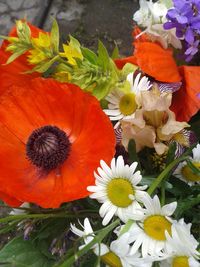 Close-up of fresh orange flowers in vase