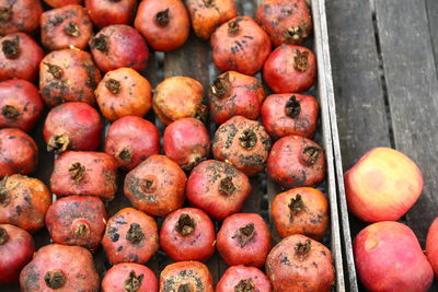 High angle view of fruits