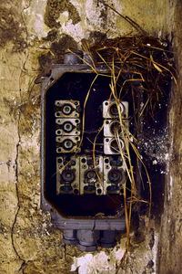 Fusebox and bird nest