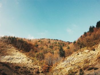 Scenic view of landscape against clear blue sky