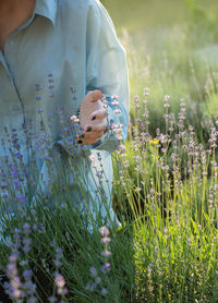 Beautiful young girl on lavender field. sunset. attractive young female outdoors.