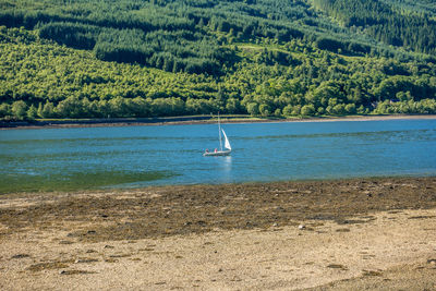 Scenic view of sea against trees