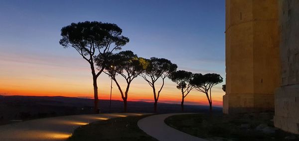 Silhouette trees by road against sky during sunset